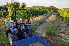 Solis Kompakttraktor 26 Grundmaschine ohne Bereifung